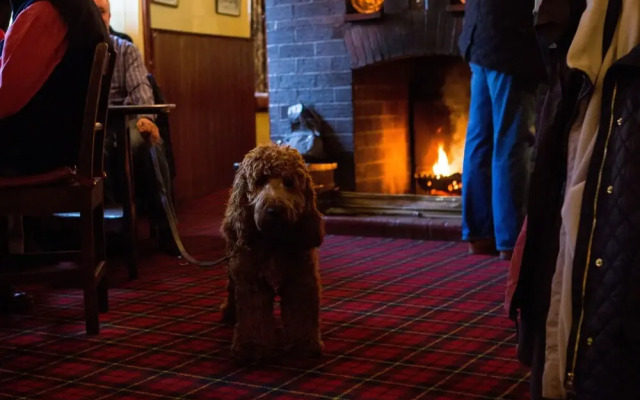 The Bull and Townhouse, Beaumaris- The Inn Collection Group