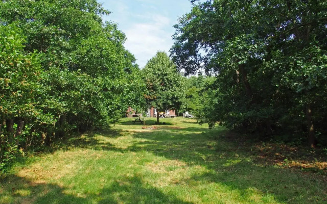 Vakantiehuis de Rommelpot