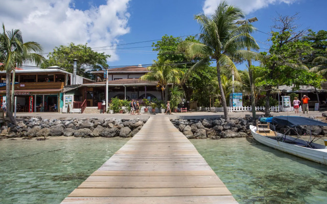 Splash Inn Dive Resort & Villas