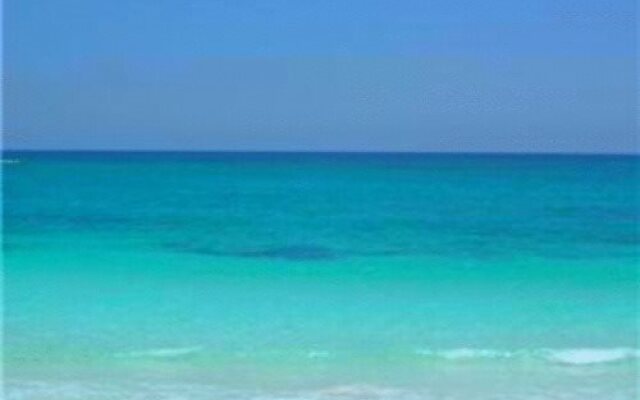 Azucar Tulum