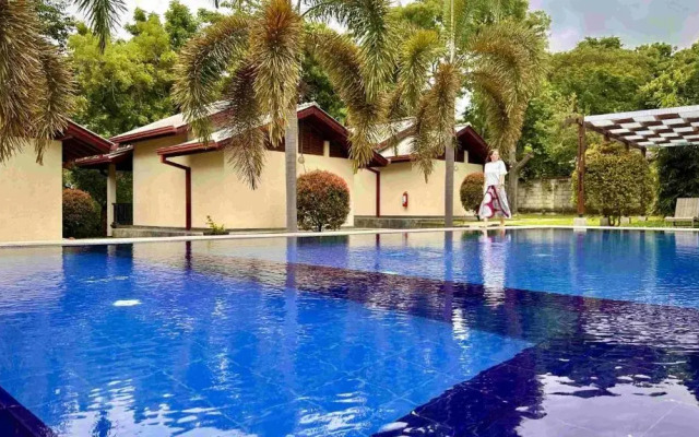 Jungle Paradise Hotel