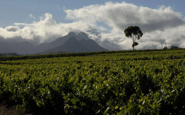 LAvenir Country Lodge