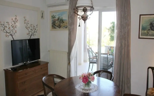 Boris - With Pool - A1