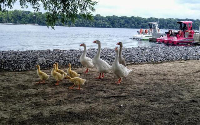 The White House Boutique Bed & Breakfast