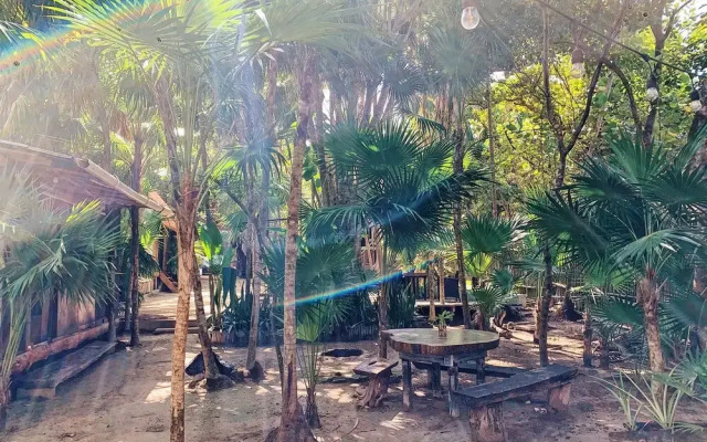 Eco.Bañitas