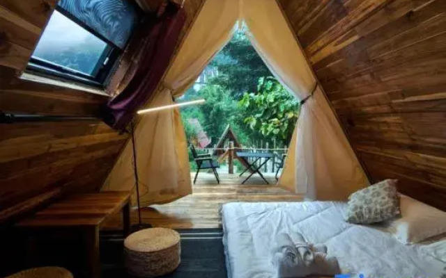 Mimosa Backpackers Hostel