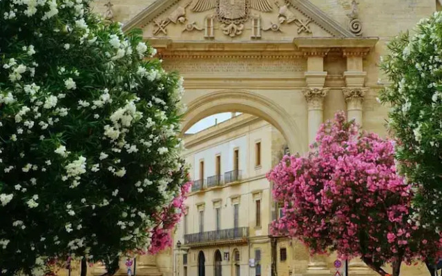 Palazzo Storico Riccardi Rollo