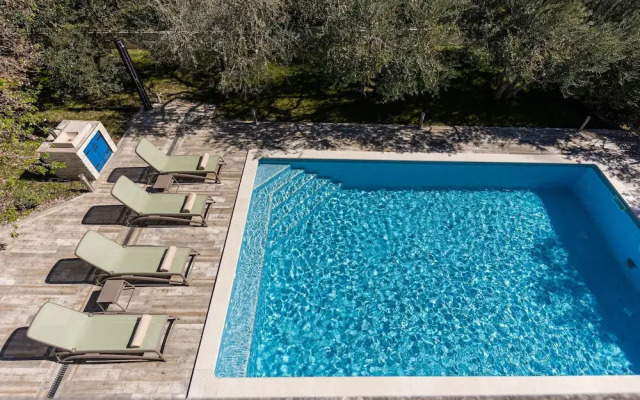 The Olive Poolhouse