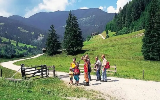 Chalet in Kotschach-mauthen in ski Area