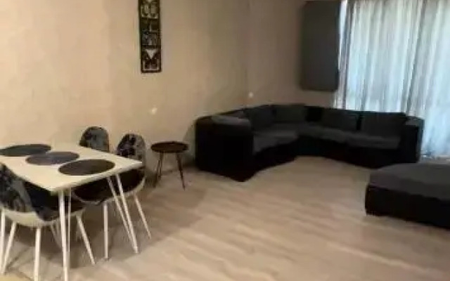 Bakuriani Haystack Apartment #53