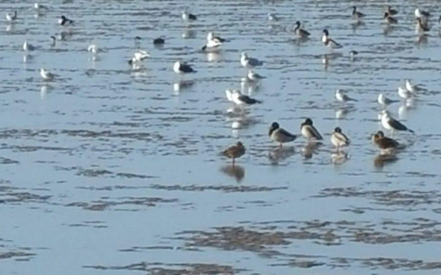 Hôtel Inn Design Rochefort Resto Novo