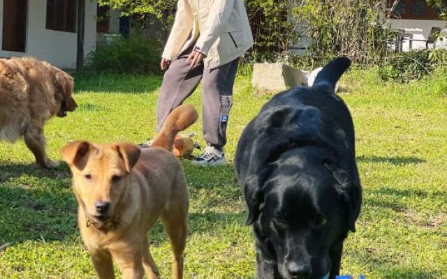 Floral Hotel·Moganshan Natural House Pet Hotel