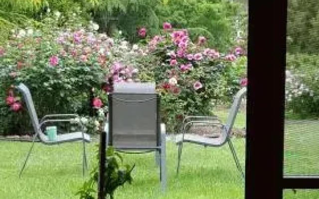 Wisteria Lodge Bed and Breakfast