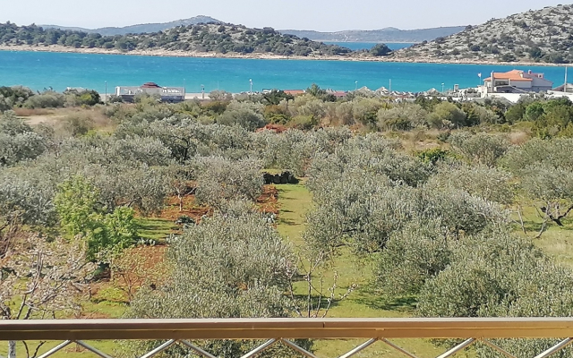 Apartment Damir - on the sea side : A3 Tribunj, Riviera Sibenik