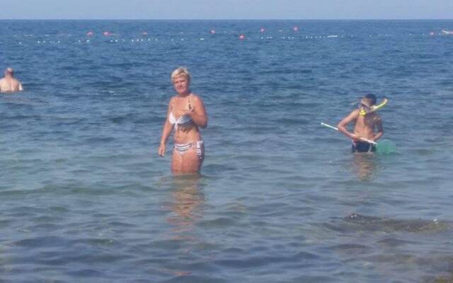 Holiday House Perkic Mm