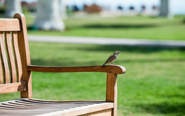 Sealine Beach - a Murwab Resort