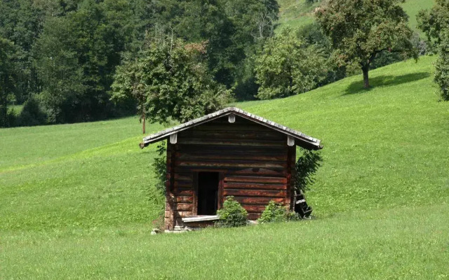 Ferienwohnungen Mooshof