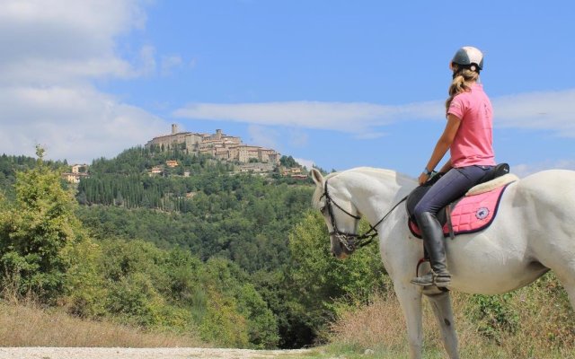 Agriturismo Il Monte