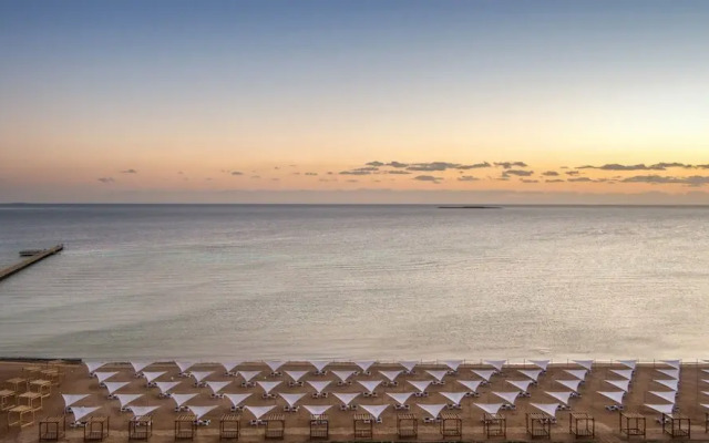 Ocean Sahl Hasheesh