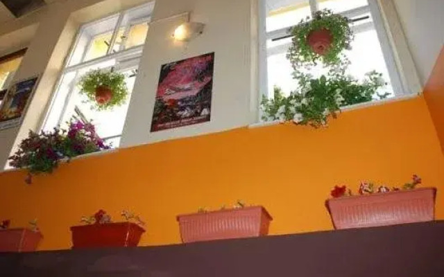 Central Station Hostel