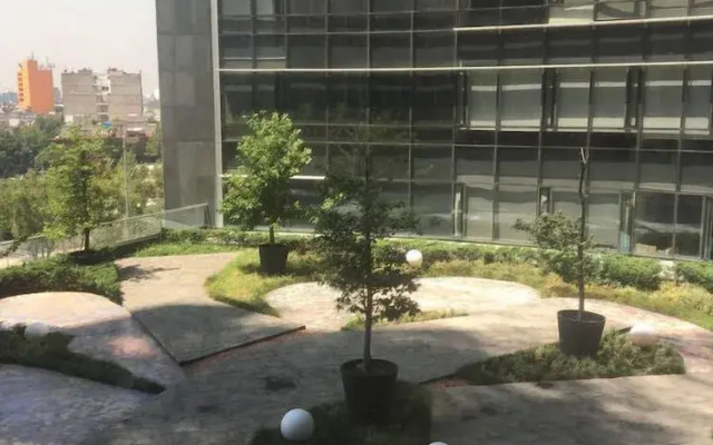 Cozy Apartment in Reforma Avenue
