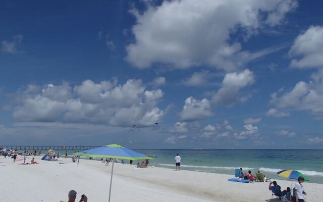 Sand Dollar by Surfside VR