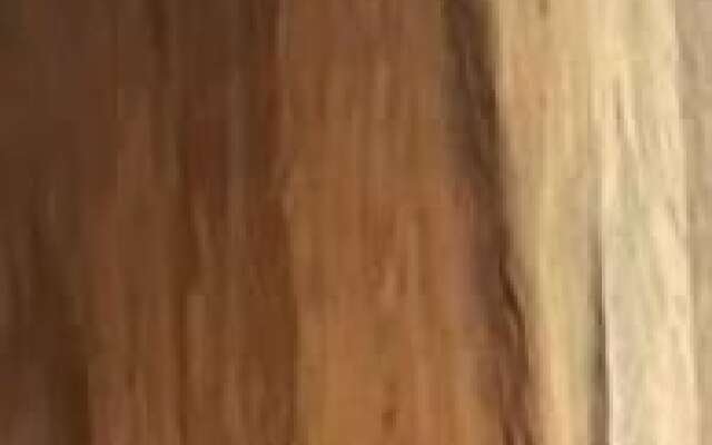 Suites Bugambilias Rooms Primavera Bosque