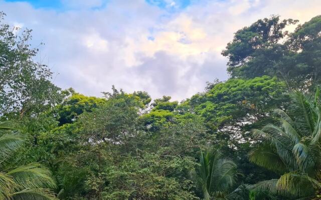 Villa Massis Luxury Jungle Villas