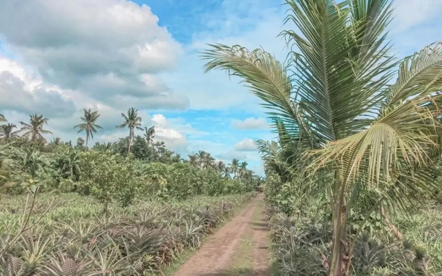 Angela's Resort And Leisure Farm-Hostel