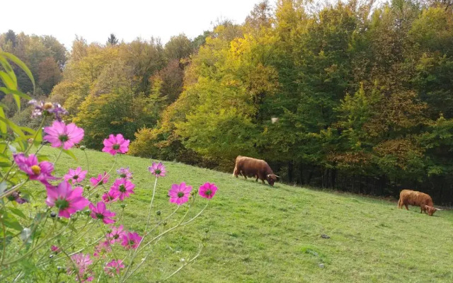 Glamping - Hayrack Vesel