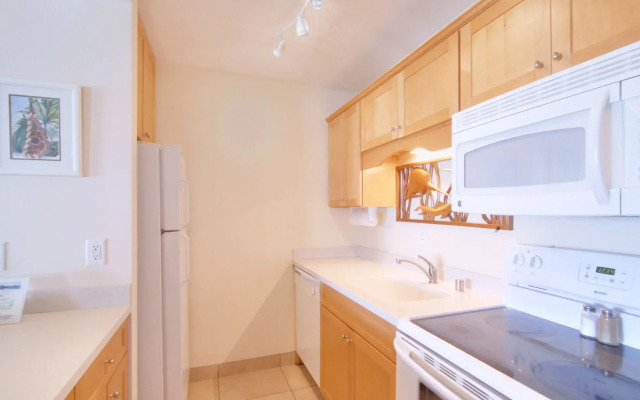 Napili Sunset on the Beach