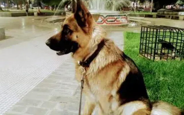 Hotel Windsor Mendoza