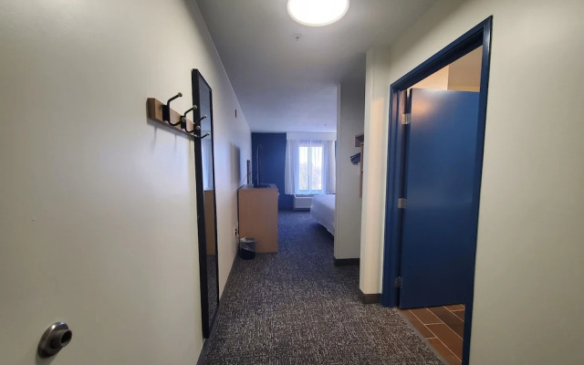 Spark by Hilton Lansing