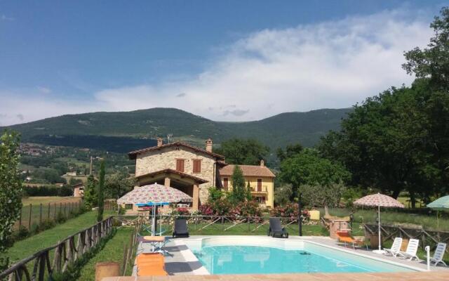 Sulla Strada Di San Francesco