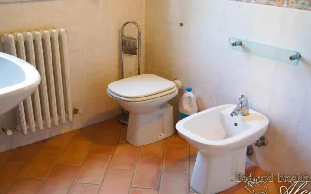 B&B Alce