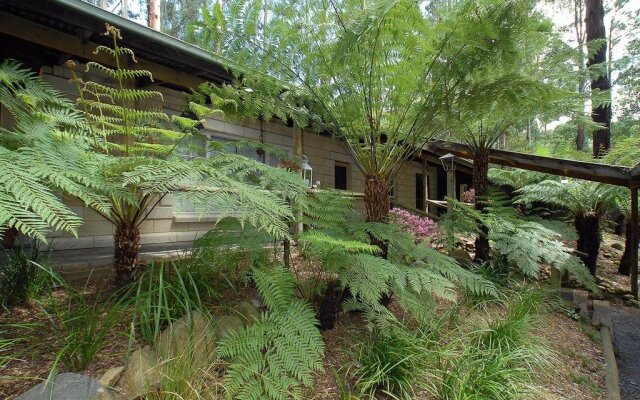 Fernglen Forest Retreat