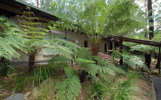 Fernglen Forest Retreat of Mount Dandenong (Self Contained Bed And Breakfast Cottages)