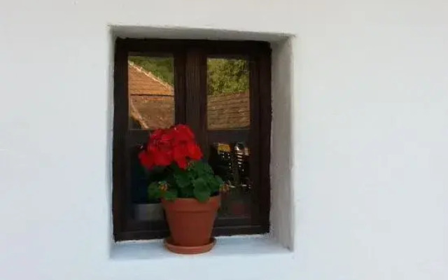 Zempléni Pitvaros Pihenő