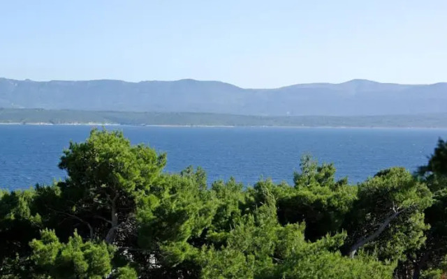 Villa Dalmatia Apartments