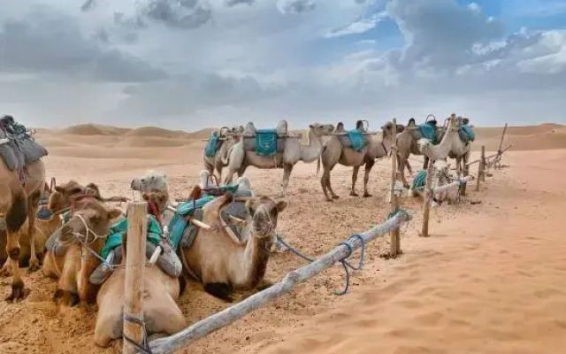 Zhongwei Daxing Night Desert Camp