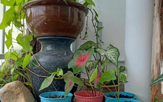 SCANDI HOMESTAY IPOH muslem