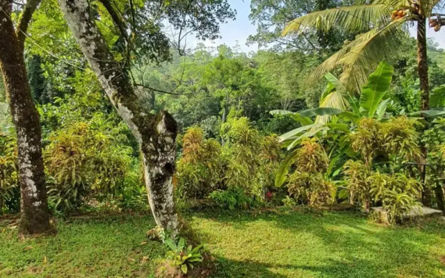 Nildiya Falls Hotel
