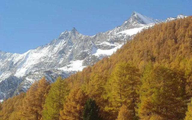Avalanche (019C07) - INH 29304