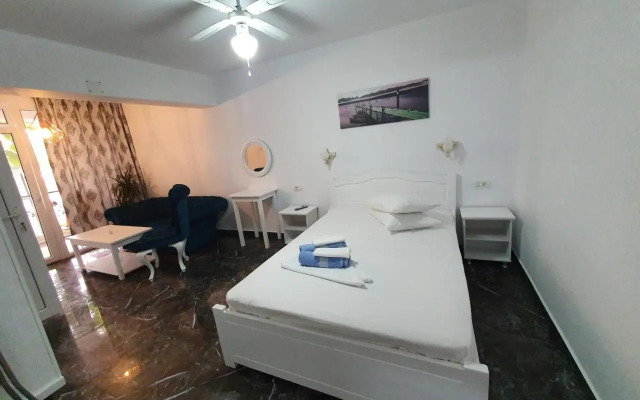 Casa Carmen Salina Artificiala