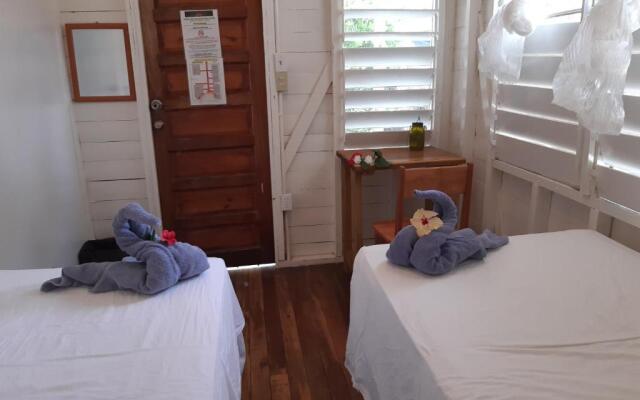 The Funky Dodo Backpackers Hostel