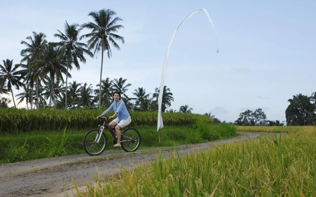The Amerta Private Villa Ubud