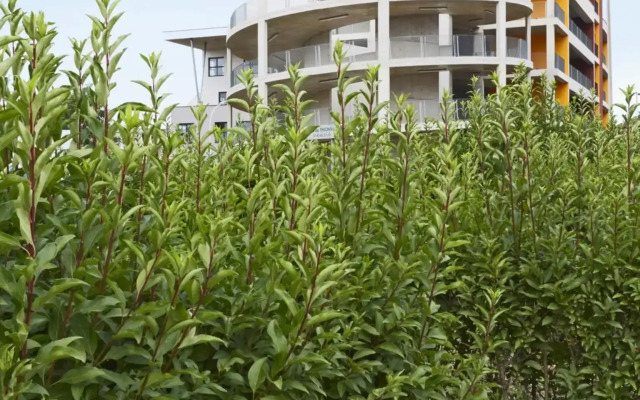 Tulip Inn Residence Thionville