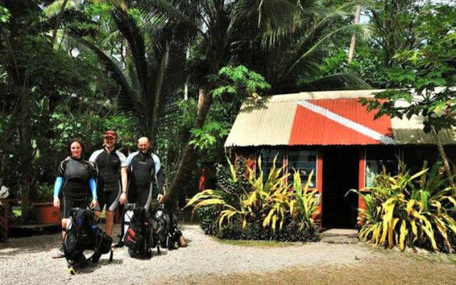 Dolphin Bay Divers Bungalow