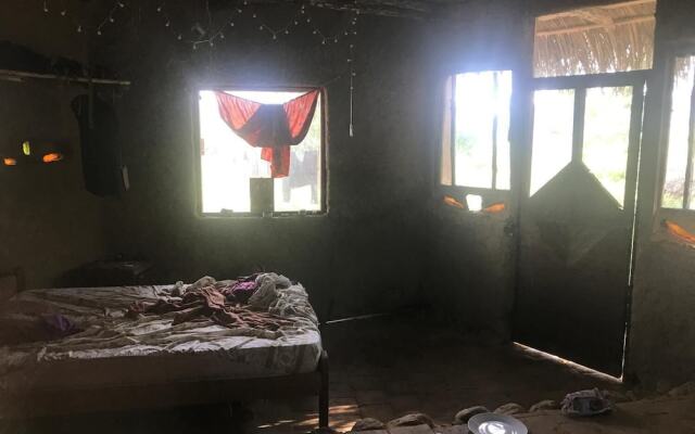 Ayahuaska