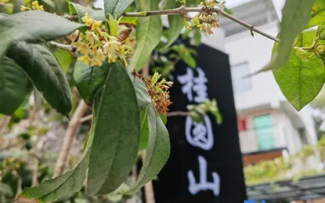 Xiamen Guiyuan Shanju Homestay (Guankou Jinghu Nanlu)